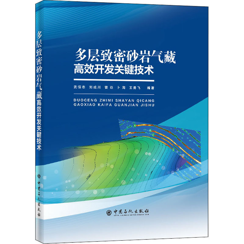 正版 多层致密砂岩气藏高效开发关键技术 9787511460929 中国石化出版社 武恒志,刘成川,曾焱,卜淘,王勇飞