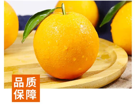 【净重5斤精品】正宗湖北秭归纽荷尔脐橙