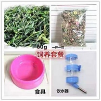 Pet Rabbit Supplies Food Novice Set Meal Box Kettle Rabbit Rope Molar Bath Molar Complete