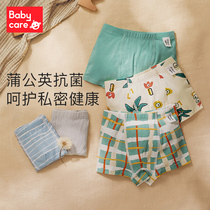 (Balabala) babycare childrens antibacterial underpants baby flat corner underpants male and female childless No clip pp