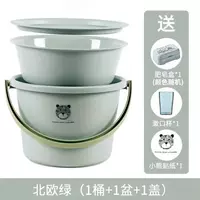 Куман медведь толсто-нулевой зеленый 【Дайте коробку+мытья чашка】