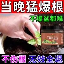 Gardening and flowering special soil activator water-soluble green plant flower potted soil activation improved loose soil agent