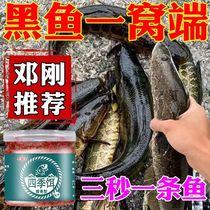 (No-mixing for novices) black fish bait Deng Gang black pit wild fishing special bait all-round fishy fragrance four seasons explosion protection bait