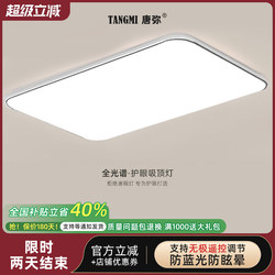 Upgraded 2025 New Led Ceiling Light for Room, Bedroom, Living Room, Modern, Simple and Elegant Zhongshan Lighting Fixtures