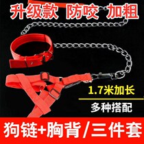 Wise Letter Pet Supplies Dogs Traction Rope Iron Chain Sub Teddy Gold Wool Walking Dog Rope Dog Chain Sub small midsize canine