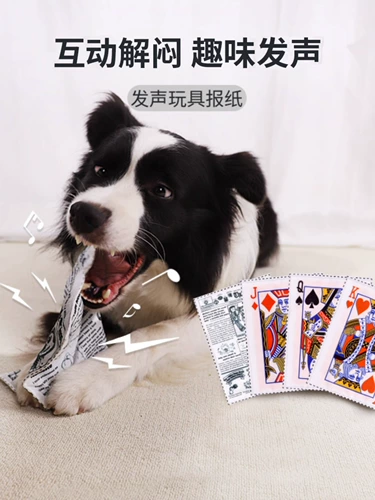 Домашние собаки озвучивали игрушечные звуковые газеты моделирование и измельчение зубов, чтобы облегчить душные артефакты бикхиро золотые волосы