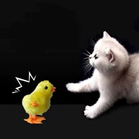 1 цыпочка 1+яйцо 1 [逗 小 игрушки]