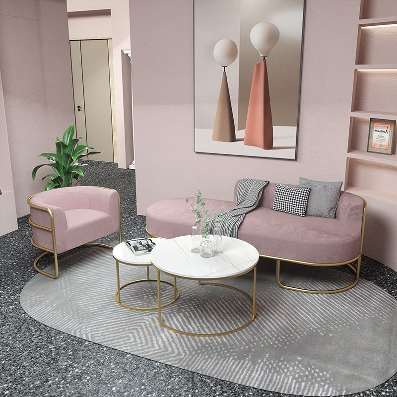 Netred cloth tables and chairs modern minimal household living room sofa tea couple combination custom Nordic luxury iron sofa