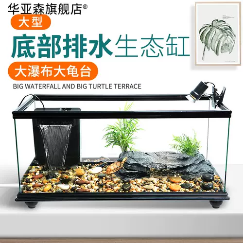 Танк с большим дном дренажными черепахами с солнечным стол.