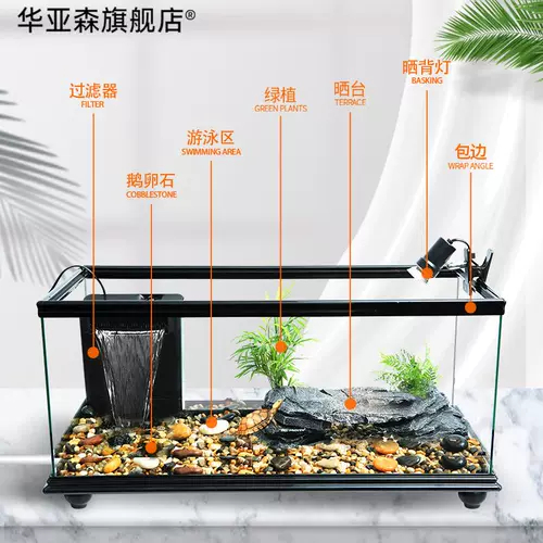 Танк с большим дном дренажными черепахами с солнечным стол.