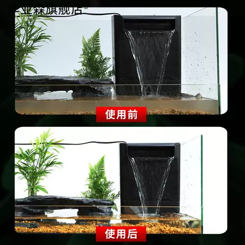 Танк с большим дном дренажными черепахами с солнечным стол.