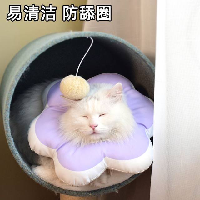 Cat collar Elizabeth collar dog sterilization collar soft head cover waterproof neck licking shame circle ອຸປະກອນສັດລ້ຽງ