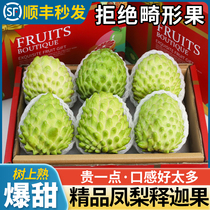 (SF Express) 5 pounds of milk pineapple custard apple fresh fruit Ringo soursop large fruit gift box 3