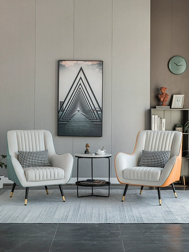 Одинокий диван Стул легкий роскошный северная маленькая квартира спальня спальня тигр