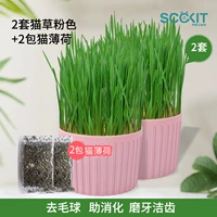 2 комплекта коробочек для порошка из кошачьей травы + 2 упаковки кошачьей мяты [можно сажать 10 раз, 80% клиентов выбирают его, очень доступно]