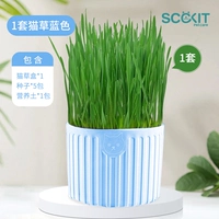 Набор кошачьей травы в синей коробке [содержит 5 пакетов семян]