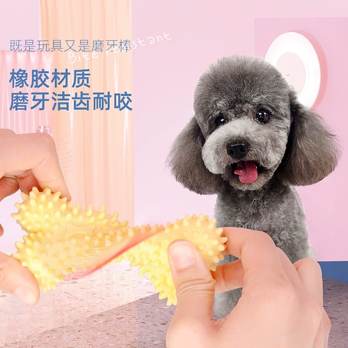 Игрушка для собак, молодая собака Тедди Бики Каки Резиновый питомец, облегчить тусклые и кусать зубы, чистая кость зубов