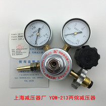 YQW-213 propane pressure reducer YQW-321 valve YXGAS pressure regulator gauge G151IN-40