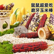 Hamster snacks molars corn cobs small golden bears summer staple food feed landscaping supplies food list