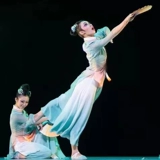 Пьяный весенний ветерок танцевальная одежда фанат китайский классический танце