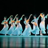 Пьяный весенний ветерок танцевальная одежда фанат китайский классический танце