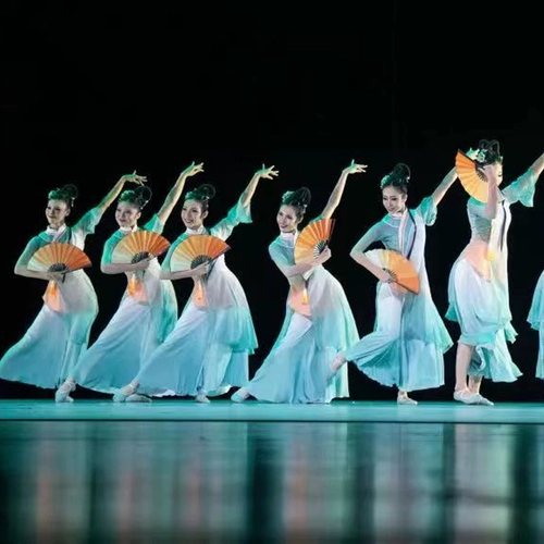 Пьяный весенний ветерок танцевальная одежда фанат китайский классический танце