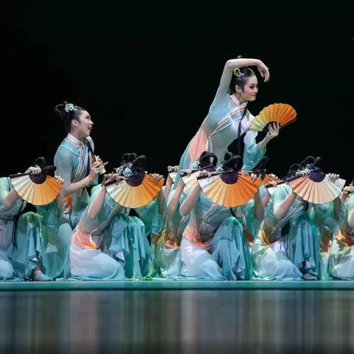 Пьяный весенний ветерок танцевальная одежда фанат китайский классический танце