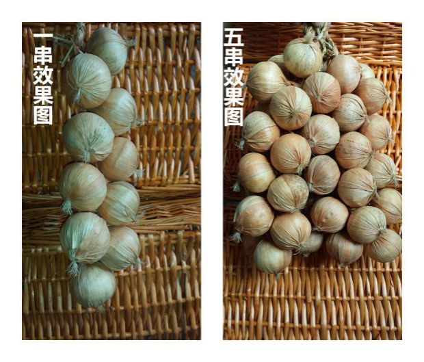 Mô phỏng mây giả cây xanh cửa hàng trái cây mặt dây chuyền lá nho nhựa rau trần trang trí hoa ớt anh đào - Hoa nhân tạo / Cây / Trái cây bình hoa giả để bàn