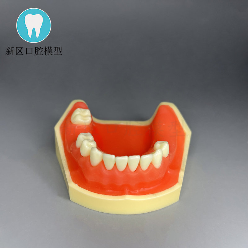 医用牙科口腔种植练习模型练习切开缝合种植模型下颌种植学生练习