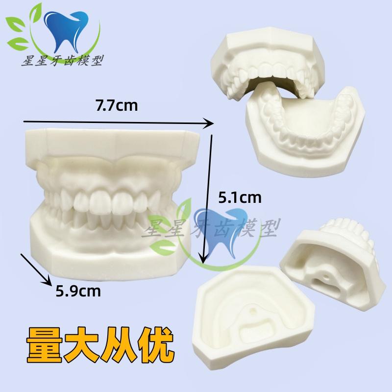 白刚玉备牙模型牙科口腔模型标准牙齿窝洞备牙练习操作模型包邮