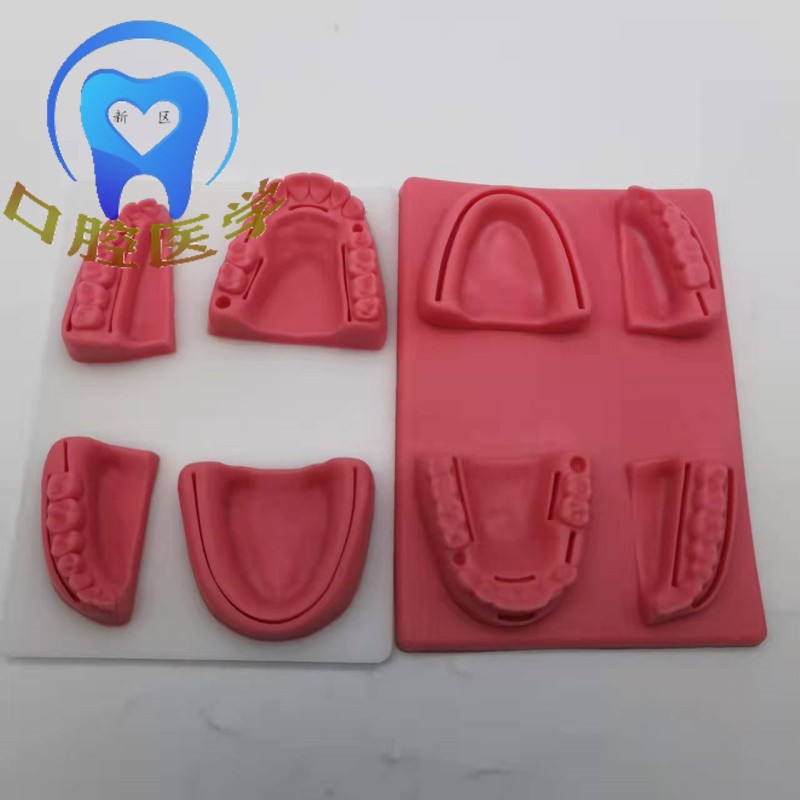 口腔 缝合练习模型 学生用缝针仿真模块 持针器硅胶仿牙龈 包邮