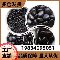 Beijing 50 pounds black pebbles black rain flower stone black polished pebbles courtyard landscaping paving rain flower stone