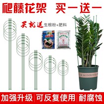 (Buy one send one) Flower stand Climbing Vine Flower Bracket Moon Season Green Lori Iron Thread Lotus Plant Support Rod Kickstand Stick