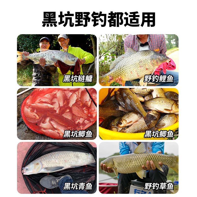 鱼无缺吴庆钓鱼抢食剂：黑坑钓鲫鱼罗非的终极秘籍
