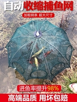Net fish artifact shrimp basket swept away crucian carp crab cage shrimp cage catch fish net catch eel woven net loach cage umbrella cage