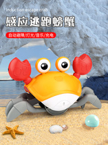 Puzzle toy 3 to 6 years old teaching multifunctional crab one to two years old gift new male girl 3 years old child