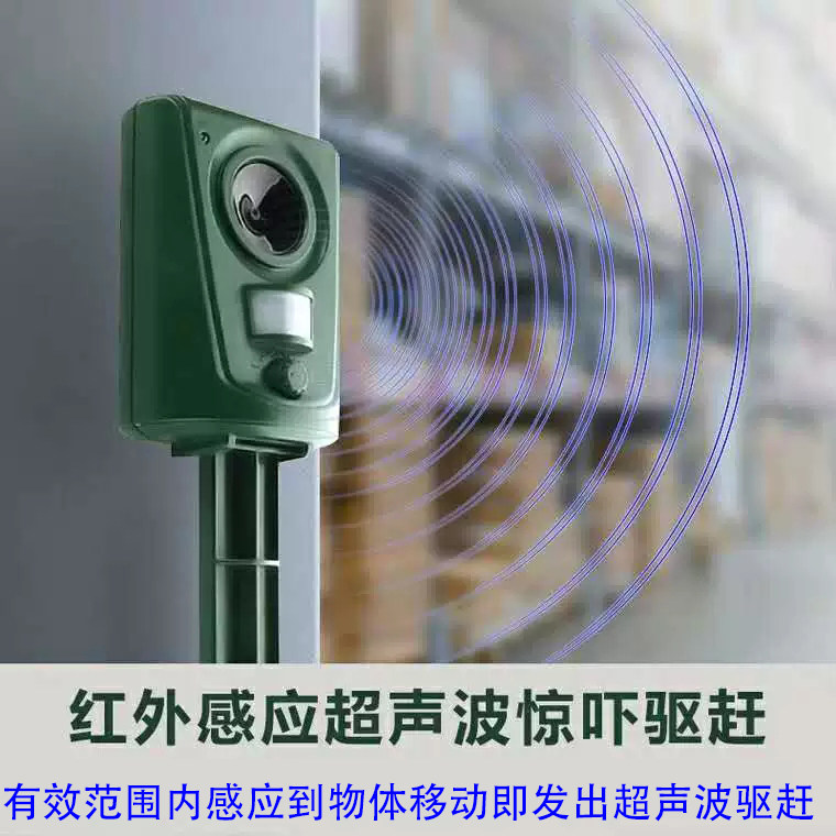 淘宝二手车拍卖，普通女生也能轻松捡漏的神器！
