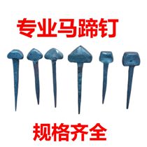 Horseshoe Nails Grain Nails Horseshoe Nails Shoe Trimming Nails Shoe Nails Horseshoe Nails Horse Nails Horse Shoes Mule Shoes Donkey Shoes