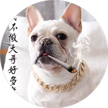 Pet Necklace Face-fighting Teddibago Dogs Evil Bully Dog Emulation Large Gold Chain Not Falling Color Golden Dog Chain Neckline