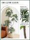 Artificial Peacock Tree Indoor Large High-End Light Luxury Decorative High-Quality Artificial Green Plant Floor-Standing Potted Tree