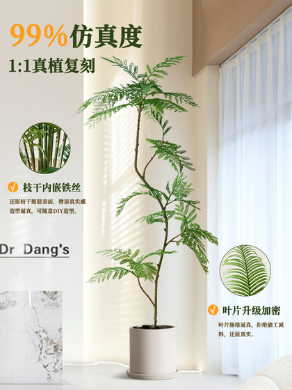 High-End Bionic Green Plant Jacaranda Indoor Living Room Decoration Next to the Tv Cabinet High-Quality Artificial Plant