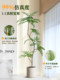 High-End Bionic Green Plant Jacaranda Indoor Living Room Decoration Next to the Tv Cabinet High-Quality Artificial Plant