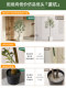 Simulated green olive tree, large floor-to-ceiling artificial tree, high-end light luxury Chinese-style decorative ornaments under the stairs of the indoor entrance hall