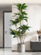 Simulated Green Plant Velvet Indoor Living Room Floor Decoration Fake Plant Potted Tv Cabinet Large Artificial Ornament Tree