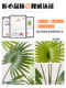 Artificial Green Plant Areca Palm Decoration, Simulated Indoor Living Room High-End Light Luxury Potted Plant Ornament, Large-Scale Biomimetic Landscaping Atmosphere Tree