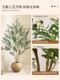 Simulated Green Olive Tree Indoor Living Room High-End Light Luxury Floor-Standing Potted Plant High-Quality Artificial Plant Decoration