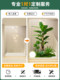 Fake Green Plant Decoration, Simulated Indoor Landscaping, Landscape Combination, Window Display Pieces, High-End Artificial Plants, Floor-Standing Potted Trees
