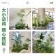 Simulated Plant Landscaping for Balcony, Indoor Staircase Decoration with Artificial Flower Trees, Bionic Green Plant Landscaping Combination