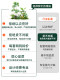 Fake Green Plant Decoration, Simulated Indoor Landscaping, Landscape Combination, Window Display Pieces, High-End Artificial Plants, Floor-Standing Potted Trees