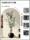 Artificial Green Plant Hanging Jasmine Large Potted Plant Decoration for Indoor Living Room High-End Bionic Plant Floor-Standing Artificial Tree